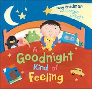 EducatorsDen Picture Book - A goodnight kind of feeling