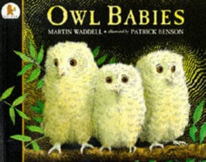 EducatorsDen Picture Book-Owl Babies
