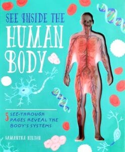 Inside the Human Body - Main Article Picture