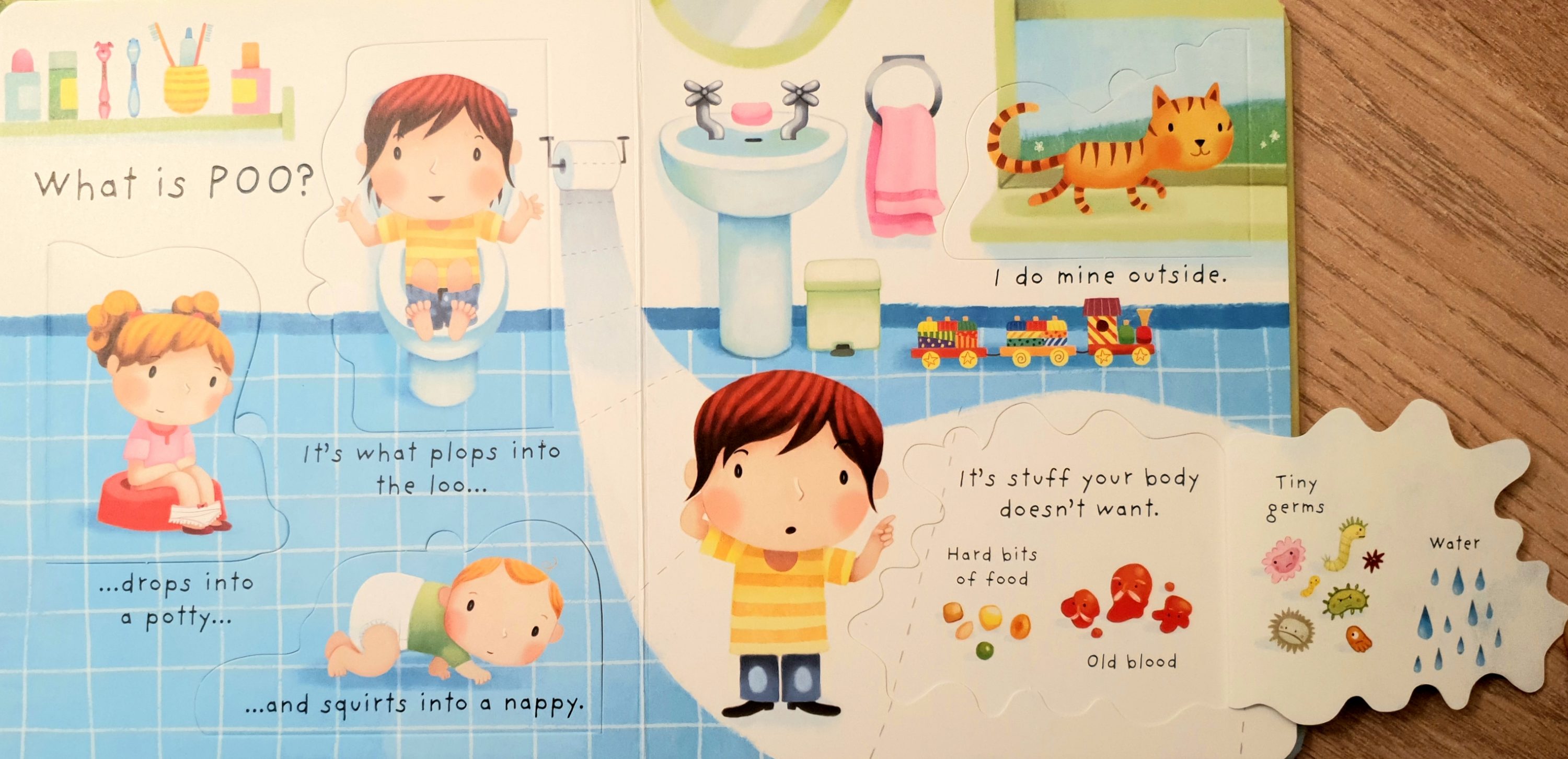What is Poo? ( Usborne's Very first Questions & Answers ) Book Review