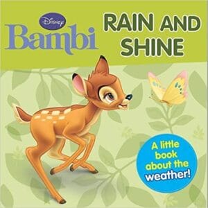 Bambi Rain and Shine