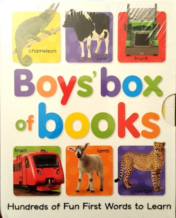 Boys' Box of Books (Hardbacks)