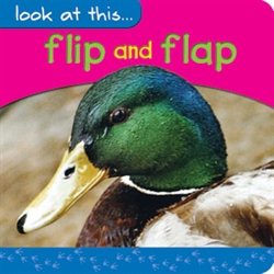 Look at this: Flip and flap-0