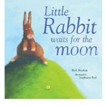 Little Rabbit waits for the Moon-0