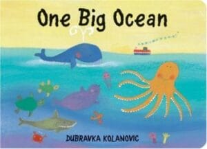 One Big Ocean (Board Book)