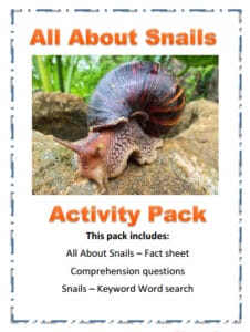 All About Snails - Activity Pack Educatorsden