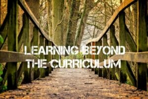 The National Curriculum : Is it Enough?
