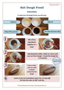 Salt Dough Fossil Instructions (Free Instant Download)