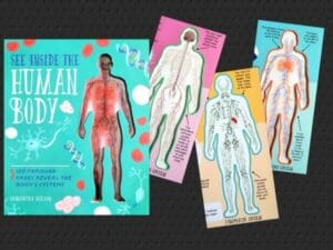 Inside the Human Body (Resource of the Week)