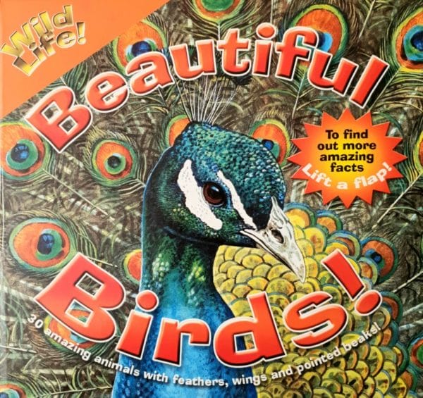 Beautiful Birds (lift the flaps to find the facts) Hardcover