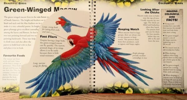 Beautiful Birds (lift the flaps to find the facts) Hardcover