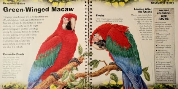 Beautiful Birds (lift the flaps to find the facts) Hardcover -Internal Image 2