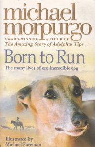 Born to Run (Paperback)