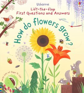 How Do Flowers Grow? (First Questions & Answers)