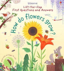 How Do Flowers Grow? (First Questions & Answers)