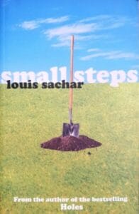 Small Steps (Paperback)