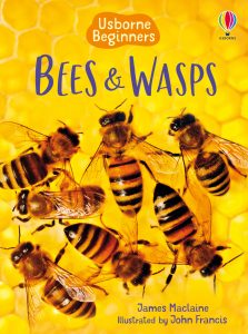 Bess and Wasps Usborne Beginners