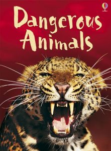 Dangerous Animals (Usborne Beginners) Hardcover
