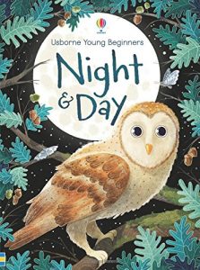 Night & Day (Usborne Beginners) Hardcover