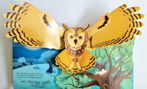 Pop-up Birds ( Pop-up Book)