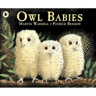 Owl Babies