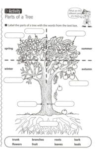 Kids Ditch the Screens....Head Outdoors & Get Dirty! 3 science in the garden parts of a tree